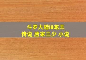 斗罗大陆iii龙王传说 唐家三少 小说